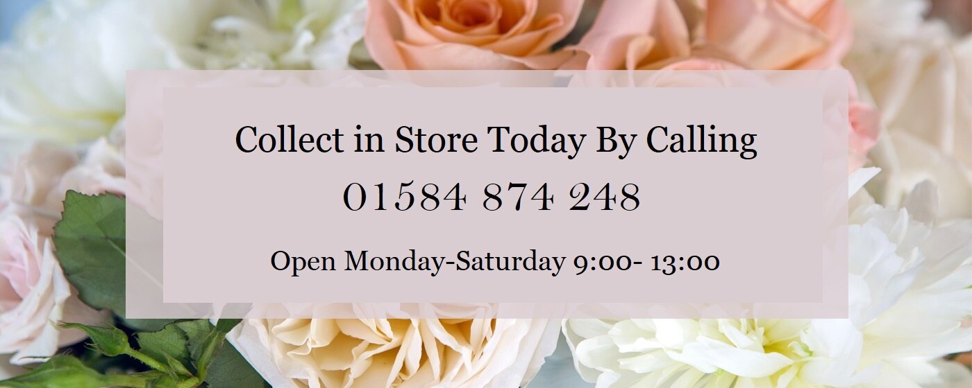 Ludlow Florist Flower Delivery by Florabunda Ludlow
